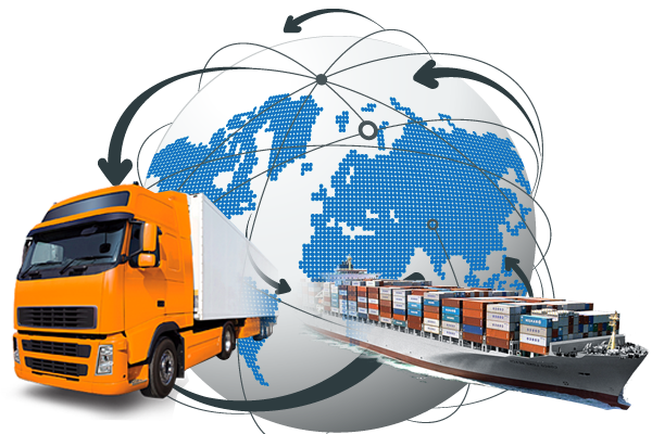 Freight Forwarder Company